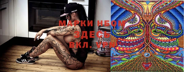 ПСИЛОЦИБИНОВЫЕ ГРИБЫ Вязьма