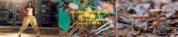 mix Вяземский