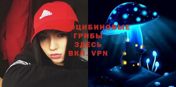 ПСИЛОЦИБИНОВЫЕ ГРИБЫ Вязьма