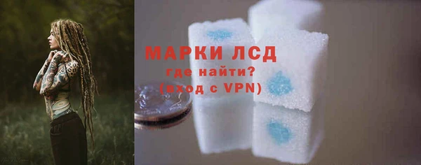 ПСИЛОЦИБИНОВЫЕ ГРИБЫ Вязьма