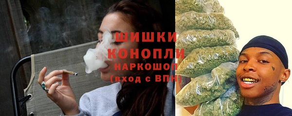 ПСИЛОЦИБИНОВЫЕ ГРИБЫ Вязьма