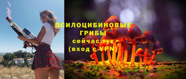 ПСИЛОЦИБИНОВЫЕ ГРИБЫ Вязьма