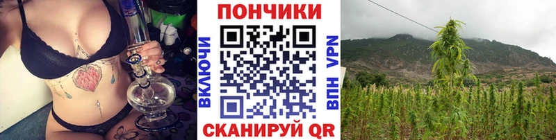 Канабис Bruce Banner  Обнинск 